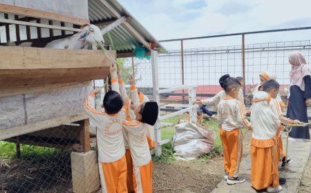 Mengenal Ciptaan Allah Sejak Dini: Santri TK Akhlak Cendekia Muslim Gelar Puncak Tema di Sirukam Dairy Farm