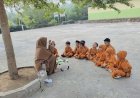Belajar dari Alam, Santri Sekolah Akhlak Cendekia Muslim Kenali Ranting, Batu, Daun, dan Air